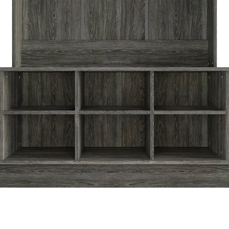 Modern and Contemporary Hall Tree with Storage