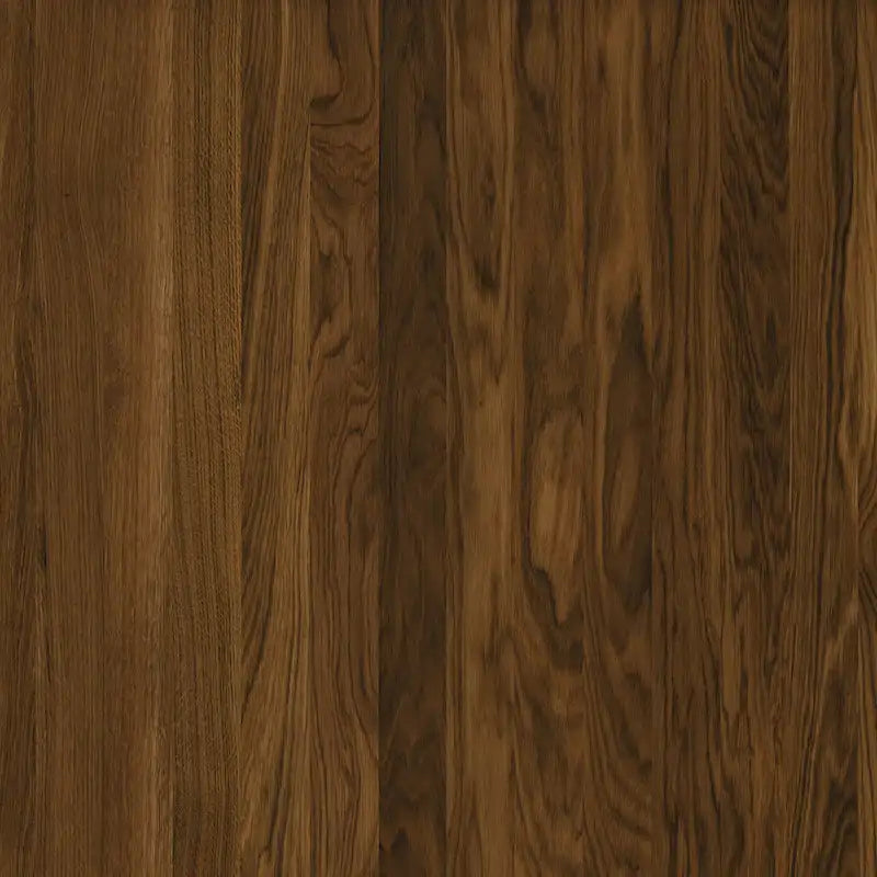 Modern and Contemporary Hall Tree with Storage